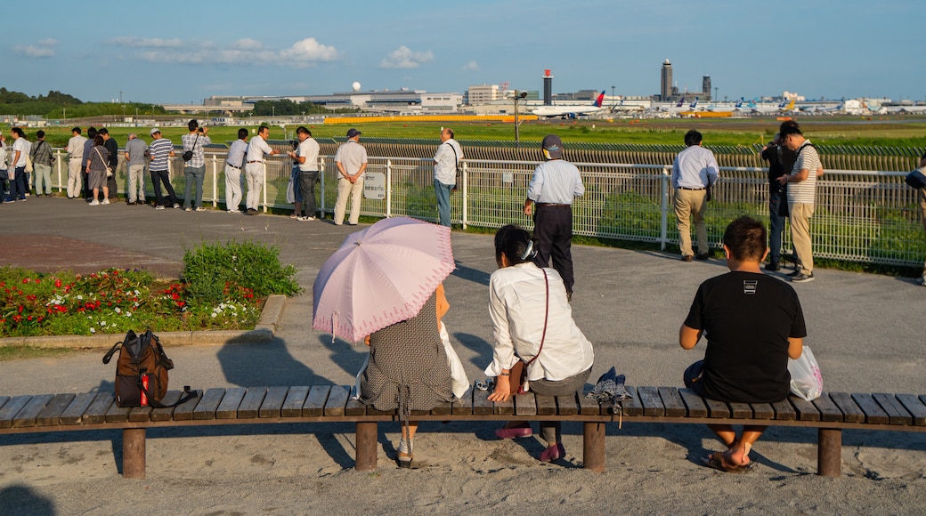 Sakura-no-Yama Hill which includes a park as well as a small group of people