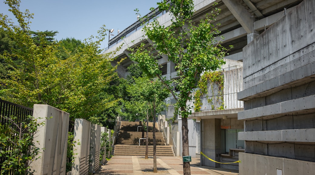 大宮公園足球場