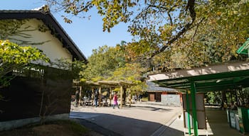 Matsuyama Castle Ropeway