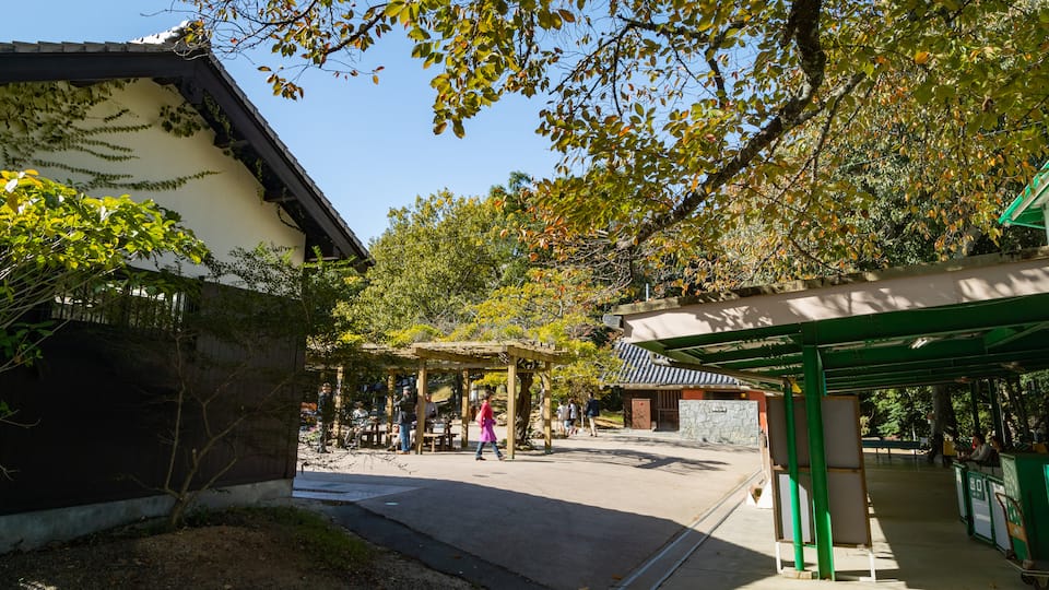 Matsuyama Castle Ropeway