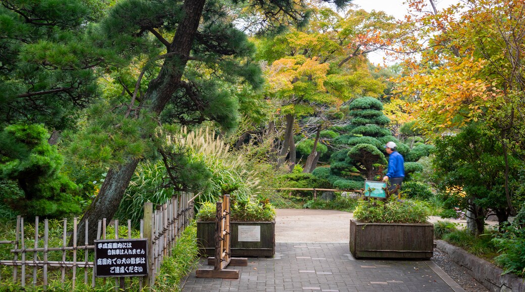 平成庭園