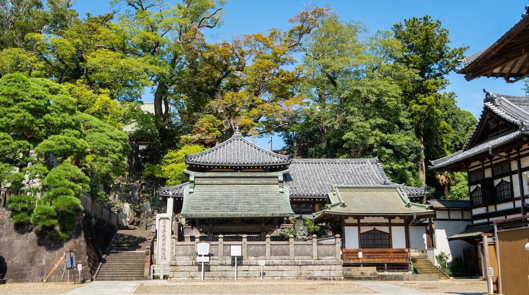 Narita turistpaviljong