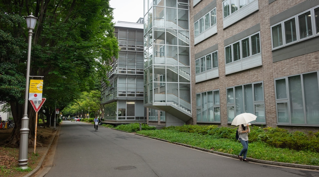 Universiteit van Chiba