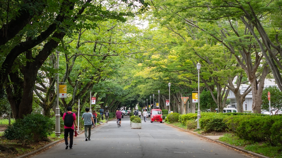 Université de Chiba