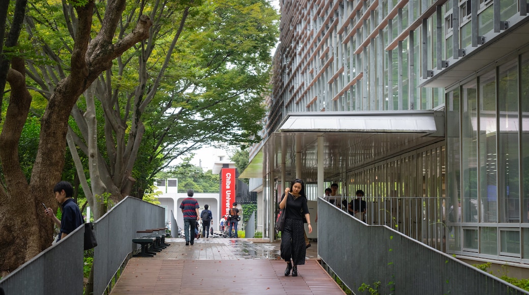 Université de Chiba