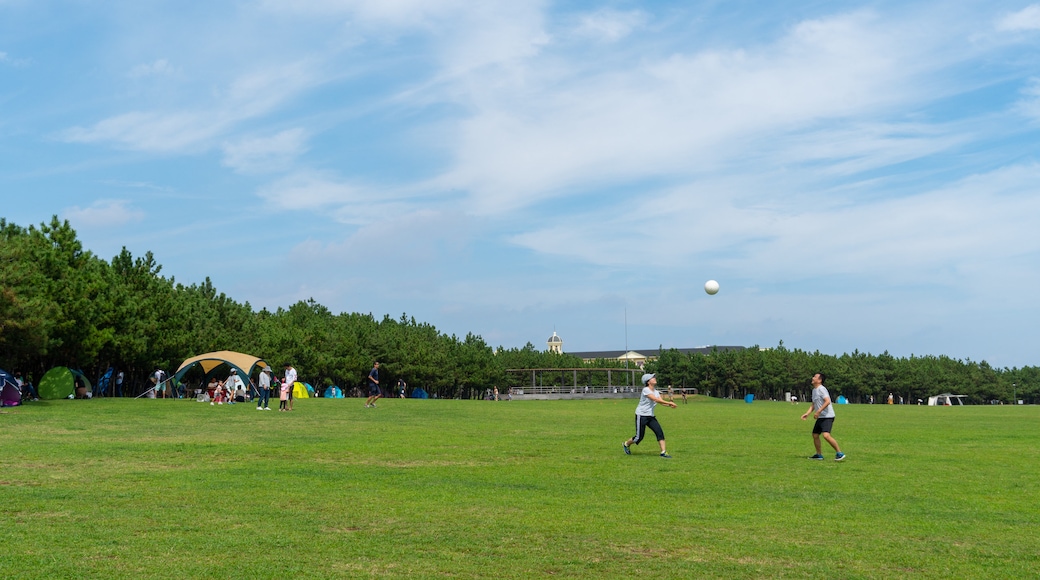 浦安市公园