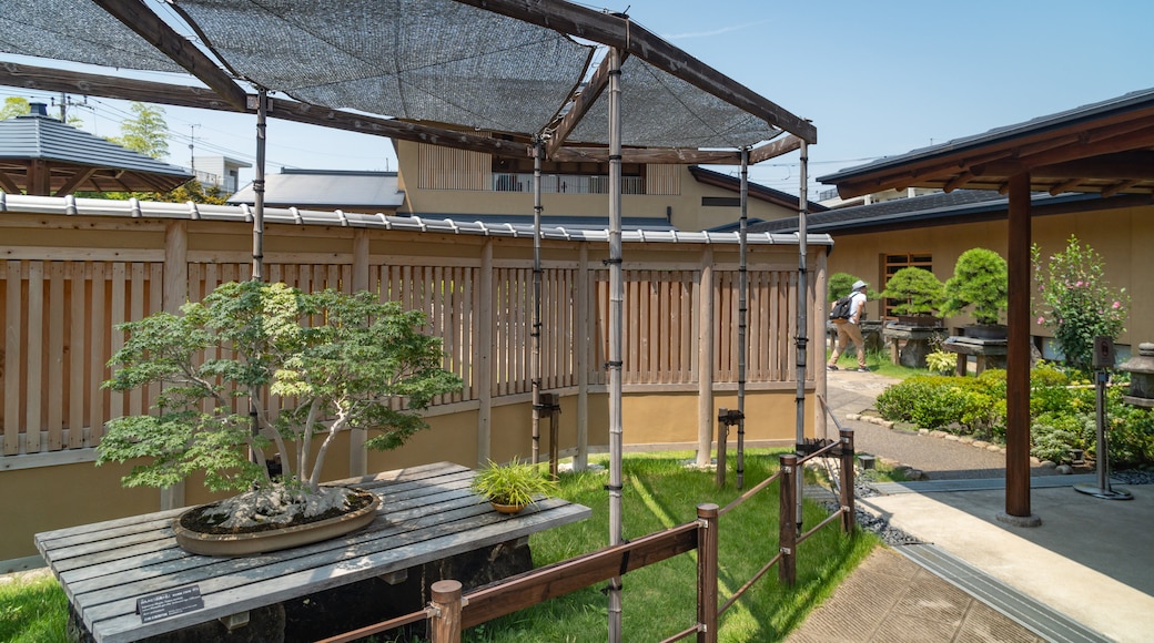 Omiya Bonsai Art Museum