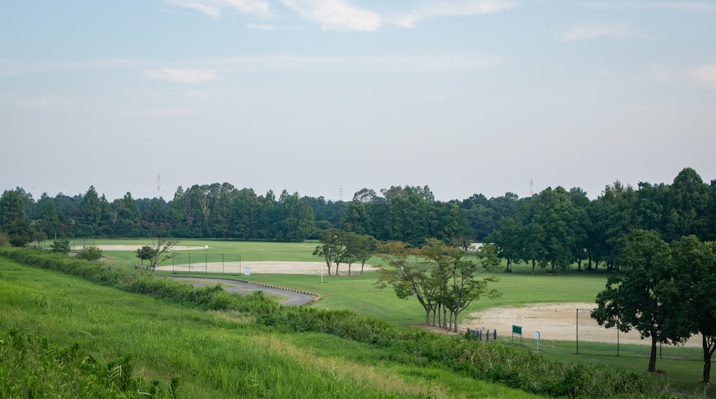 Parc Akigase
