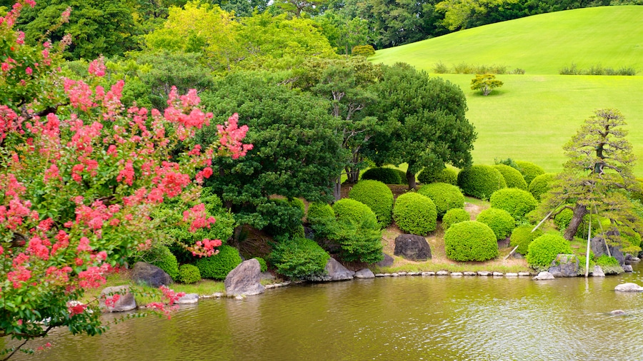 Suita showing a garden, wildflowers and a pond