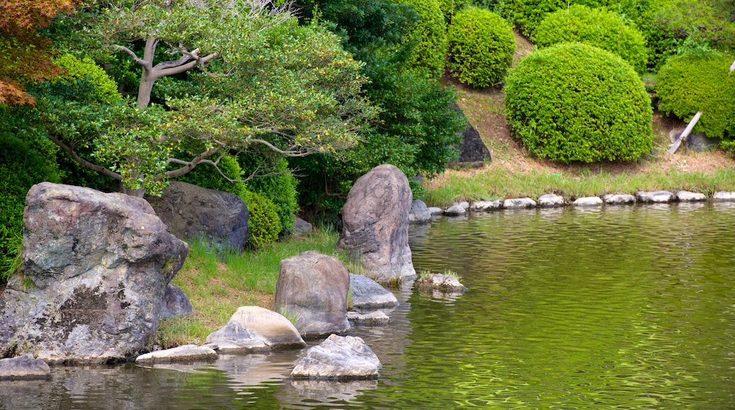 Suita showing a lake or waterhole