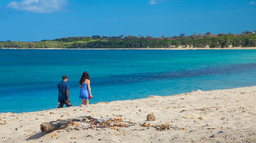 Natadola Beach featuring general coastal views and a beach as well as a couple