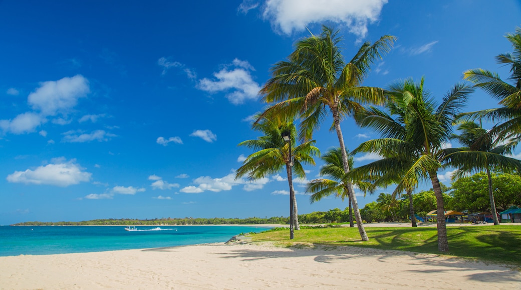 Natadola Beach showing general coastal views, a sandy beach and tropical scenes