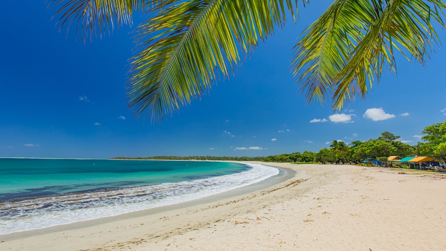 Natadola Beach which includes a sandy beach, general coastal views and tropical scenes