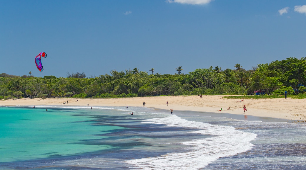 Natadola Beach featuring general coastal views and a sandy beach