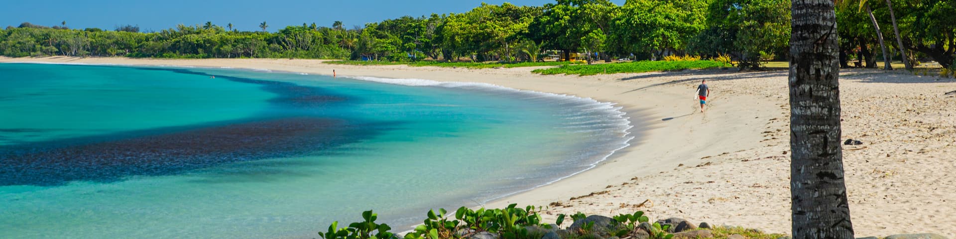 Natadola Beach showing tropical scenes, a beach and general coastal views