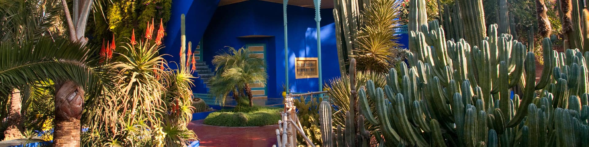 Majorelle Gardens showing a garden