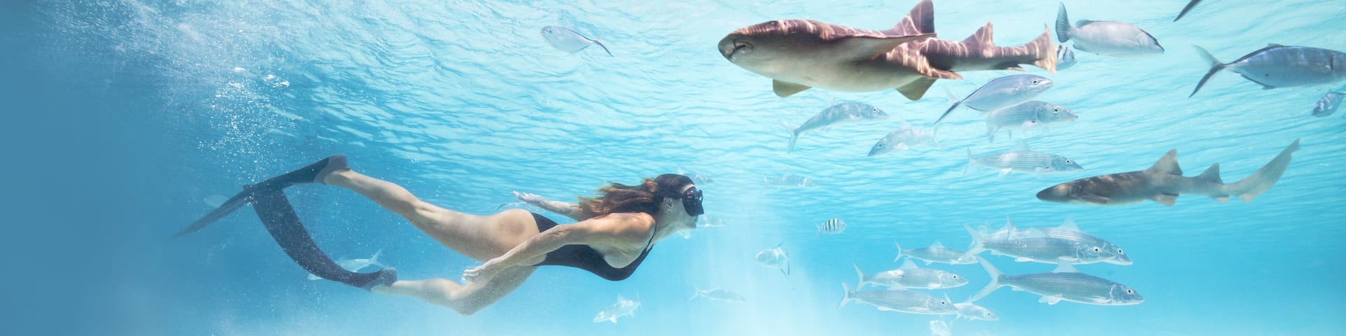 Exuma which includes snorkeling, tropical scenes and general coastal views