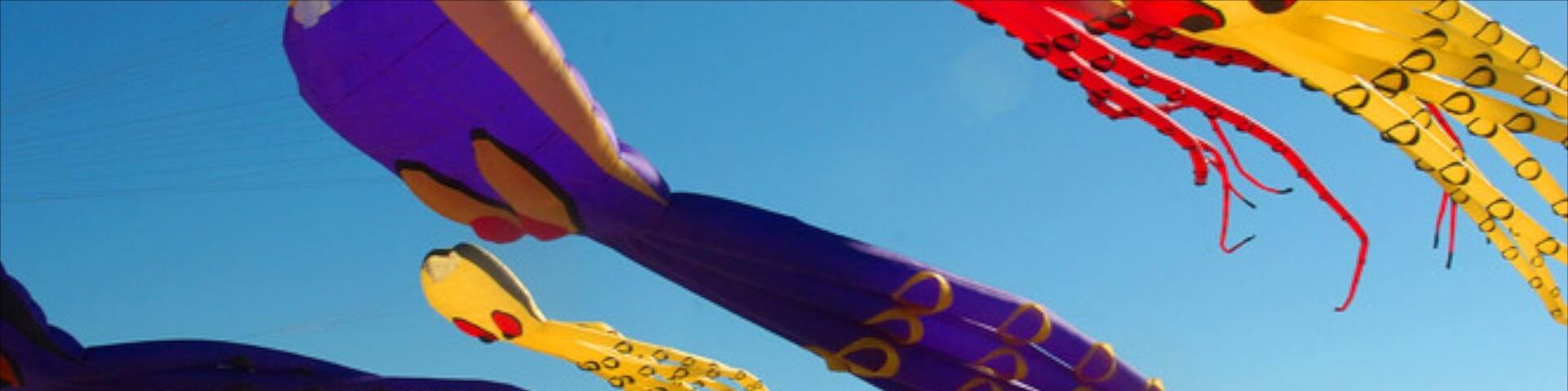 Wrightsville Beach featuring general coastal views as well as an individual child