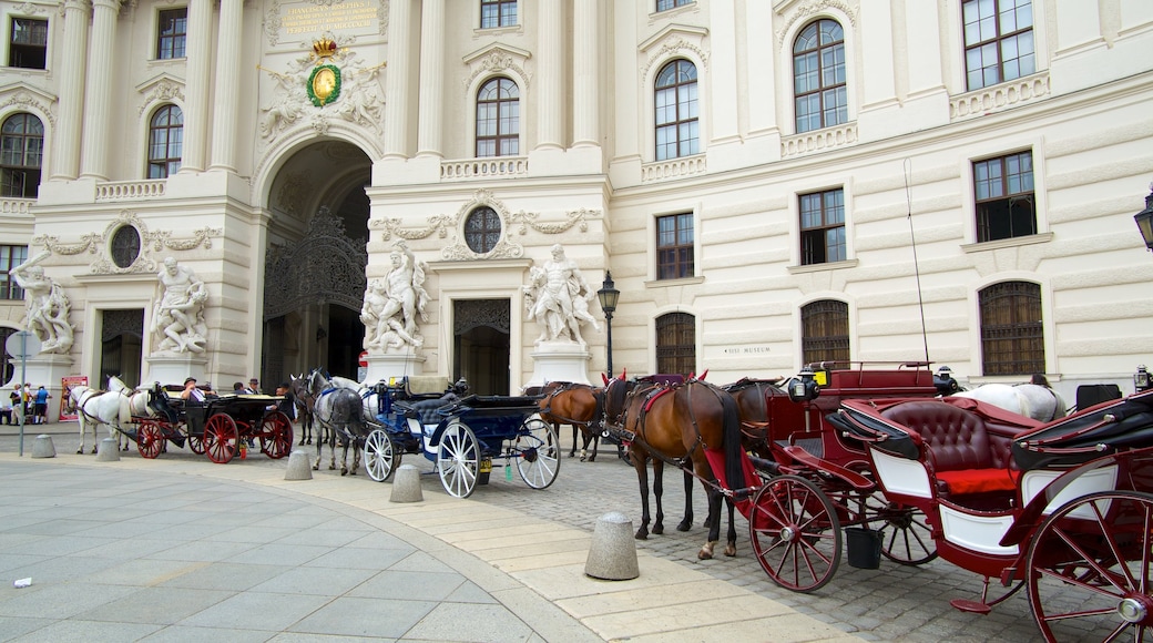 Hofburg Imperial Palace showing a castle, a city and heritage architecture