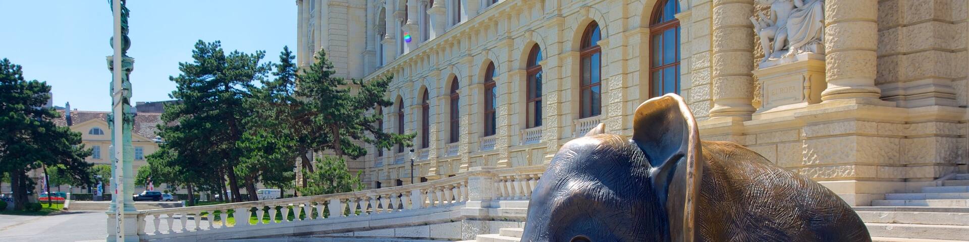 Museum of Natural History featuring art, a city and a statue or sculpture