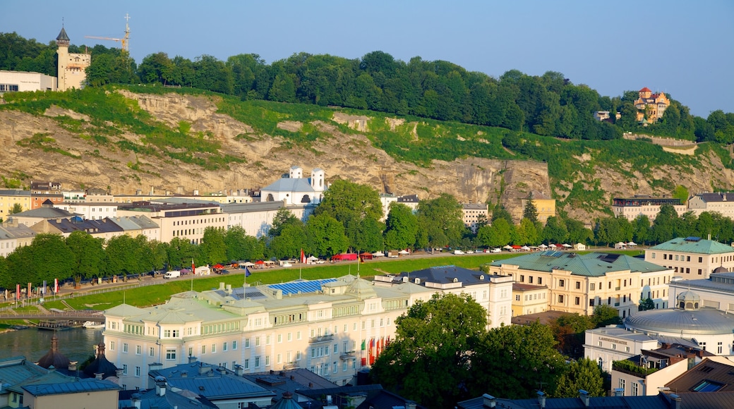 Kapuzinerberg Hill showing forest scenes and a city