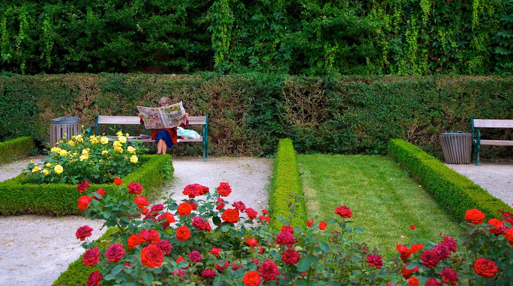 Mirabell Palace and Gardens showing flowers and a garden as well as an individual female