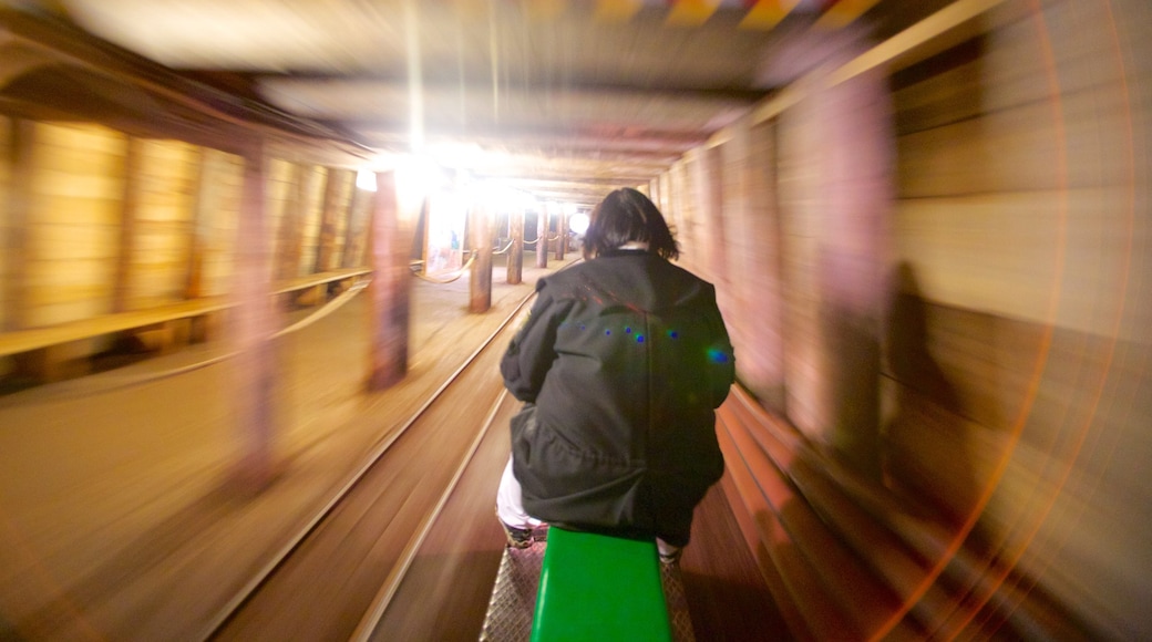 Salzburgo que incluye vistas interiores y artículos de ferrocarril y también un hombre