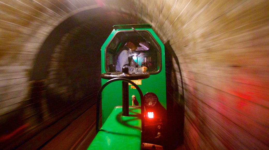 Salzbourg montrant articles ferroviaires et vues intérieures aussi bien que homme