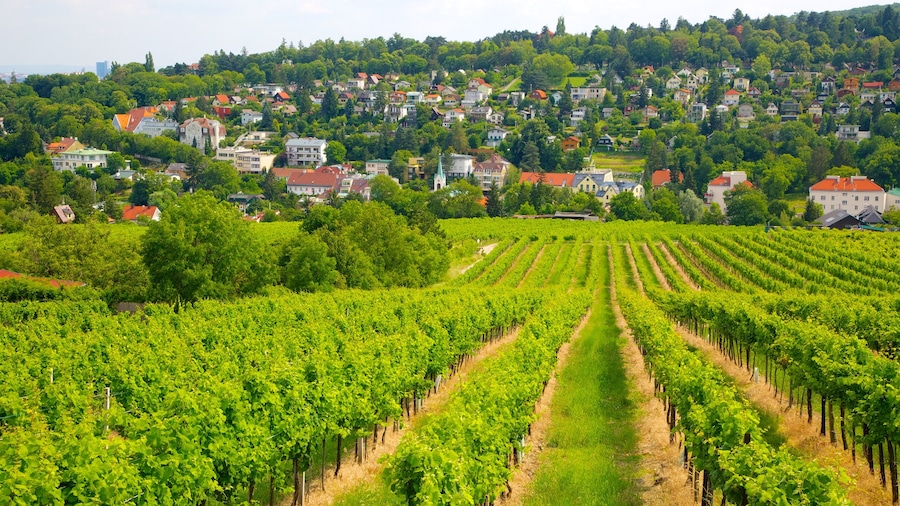 Austria showing farmland and a small town or village