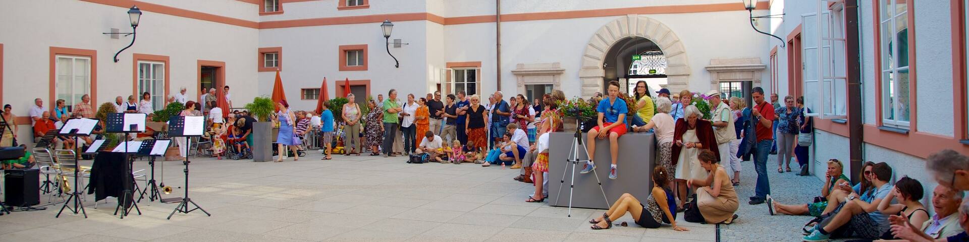 Salzburg Museum showing performance art as well as a large group of people