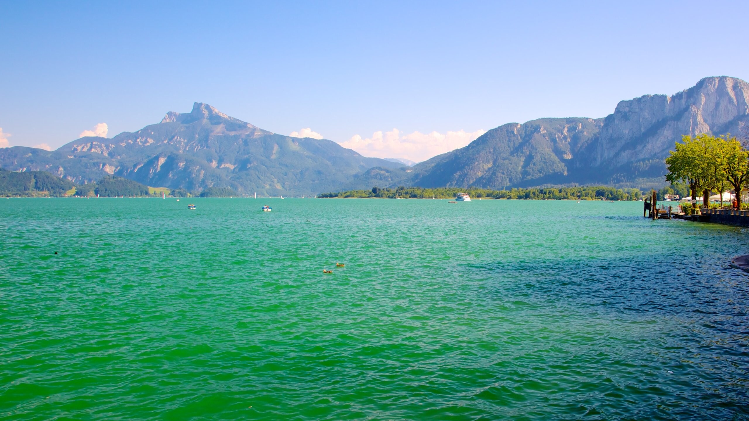 Mondsee Logo Mondsee Logo