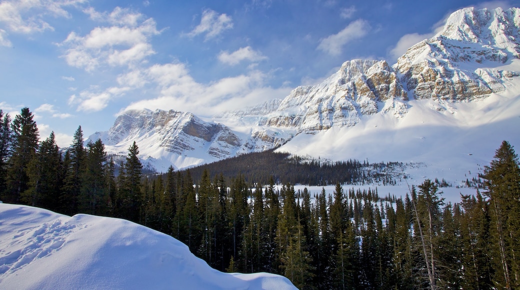 Icefields Parkway showing snow, landscape views and mountains