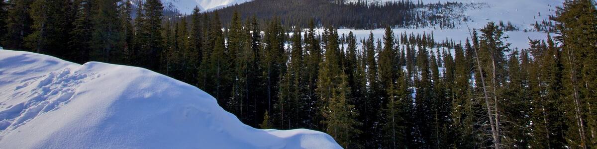 Icefields Parkway mit einem Landschaften, Schnee und Berge