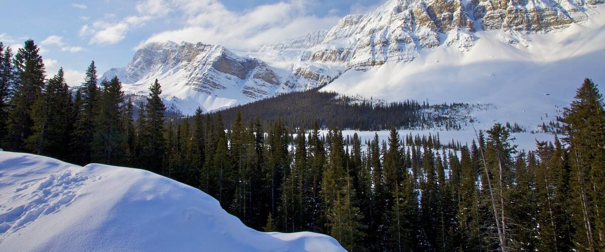 Icefields Parkway showing landscape views, mountains and forests