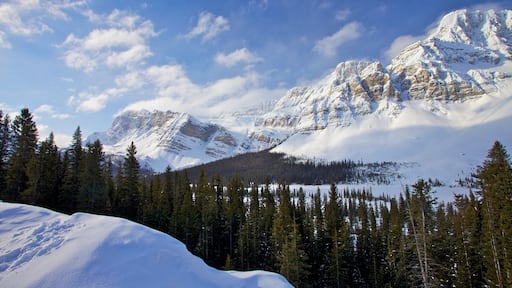 Icefields Parkway som inkluderar snö, berg och skogar