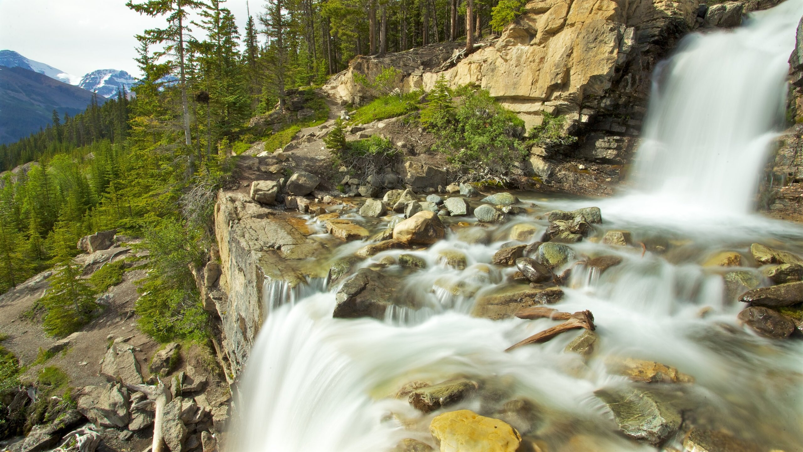 ジャスパー国立公園南口観光ガイド 定番人気スポットを参考に自分にピッタリの観光プランを立てよう エクスペディア