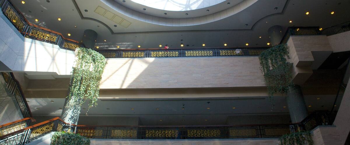 Museu de Xangai que inclui vistas internas