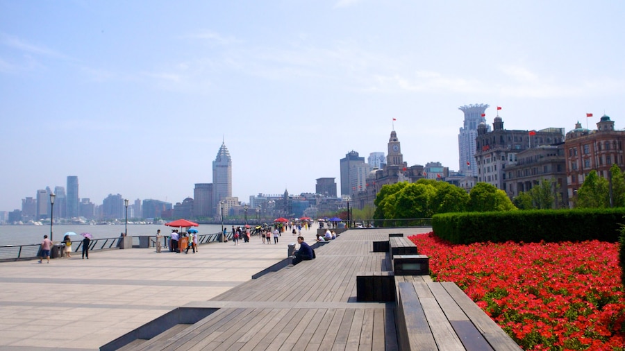 The Bund showing flowers and a city