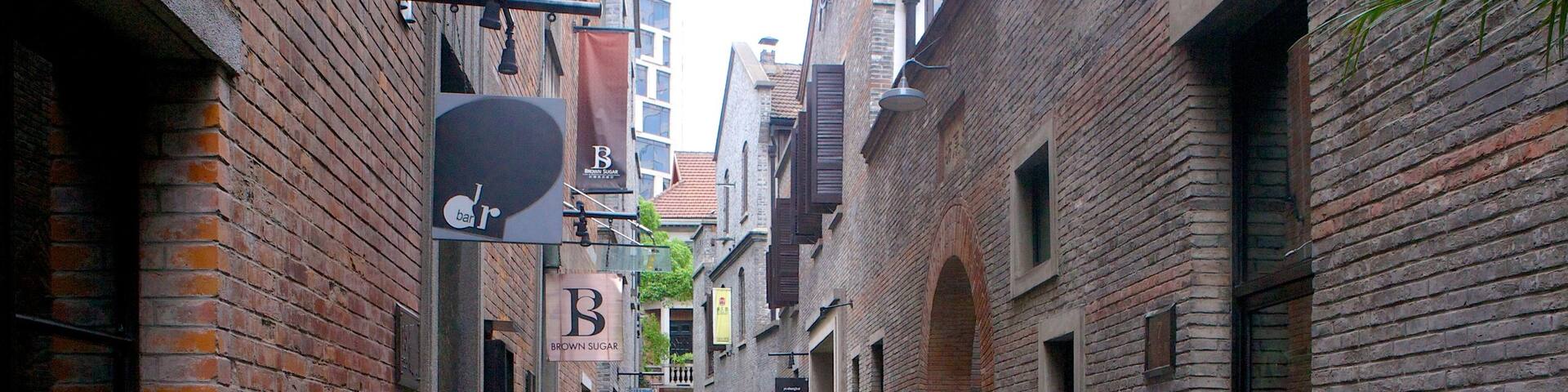 Xintiandi Style Shoppping Centre showing street scenes and a city