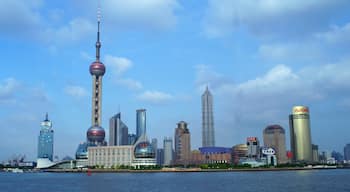 Oriental Pearl Tower toont een stad, een wolkenkrabber en centraal zakendistrict