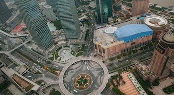 Oriental Pearl Tower which includes modern architecture, central business district and a skyscraper