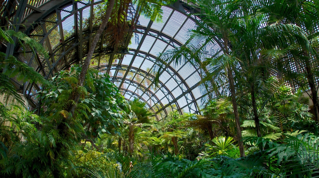 Balboa Park which includes a garden and interior views