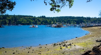 Bainbridge Island som viser en stenstrand, en bugt eller havn og udsigt over kystområde