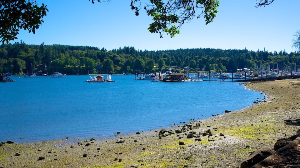Bainbridge Island featuring general coastal views, a bay or harbour and a river or creek