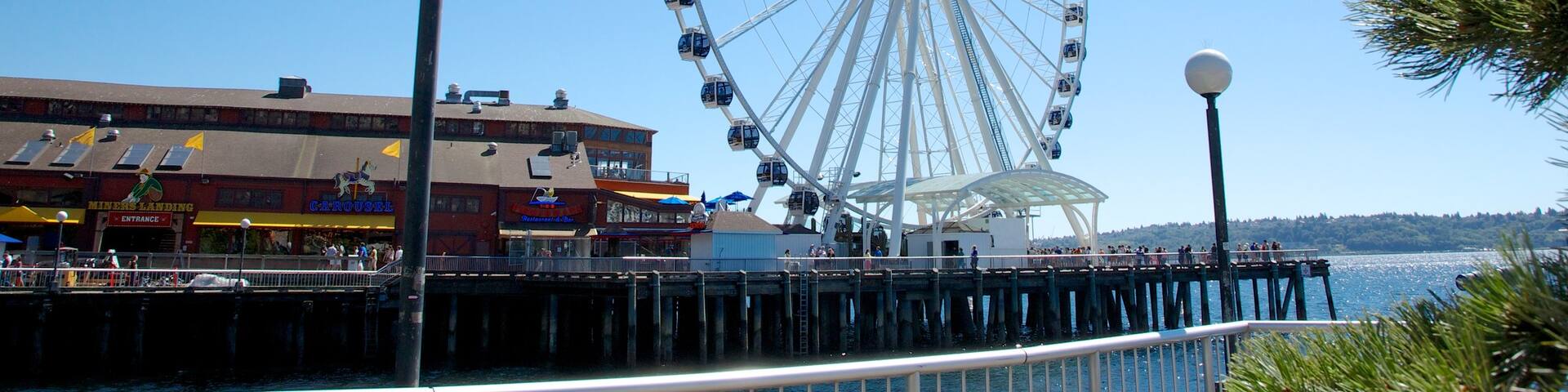 シアトル グレート ホイール 表示 海岸線の眺め と アトラクション