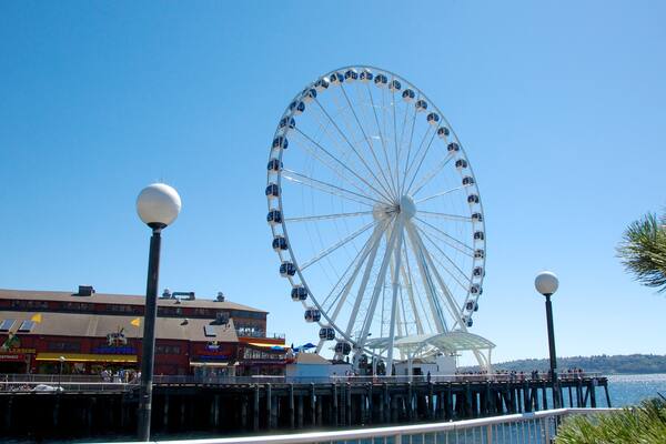 シアトル グレート ホイール 表示 海岸線の眺め と アトラクション