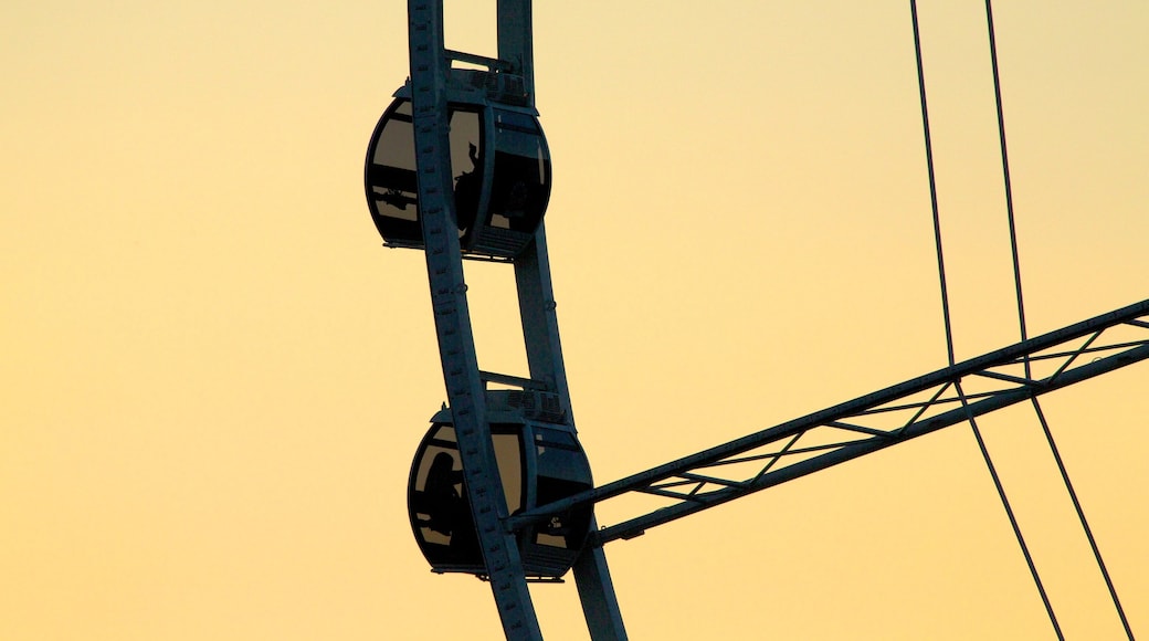 Seattle Great Wheel welches beinhaltet Fahrten