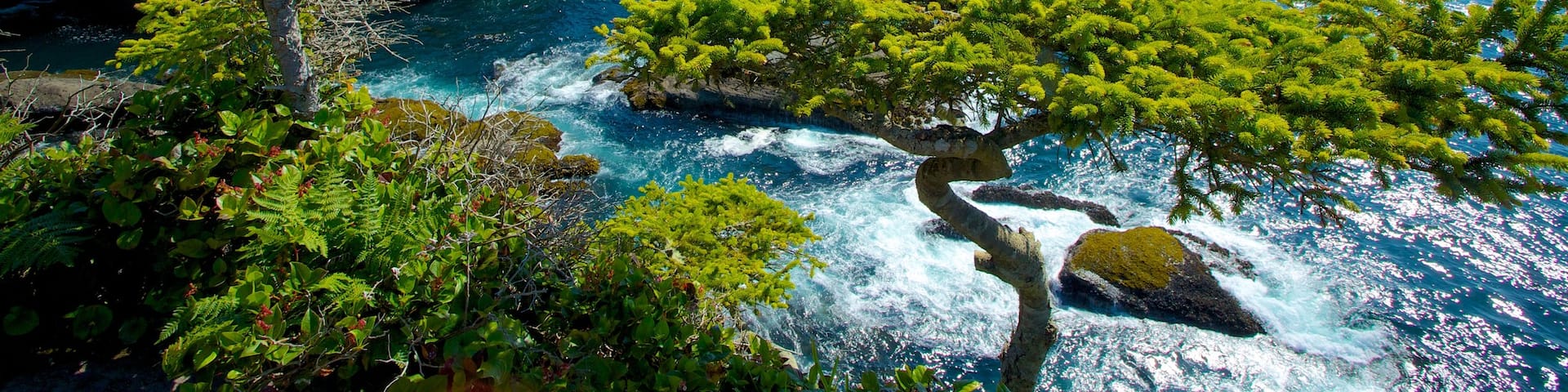 Cape Flattery featuring rocky coastline, landscape views and a bay or harbor