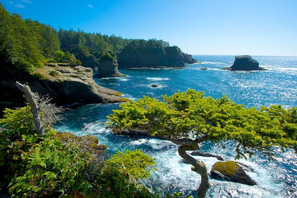 Cape Flattery mit einem Bucht oder Hafen, Landschaften und schroffe Küste
