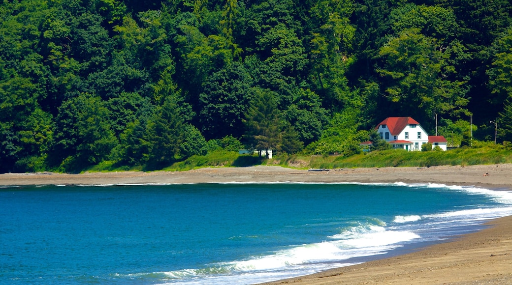 Clallam Bay som visar en sandstrand, skogar och ett hus